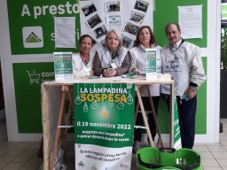 Una lampadina sospesa presso Leroy Merlin novembre 2022