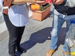 Collette alimentari